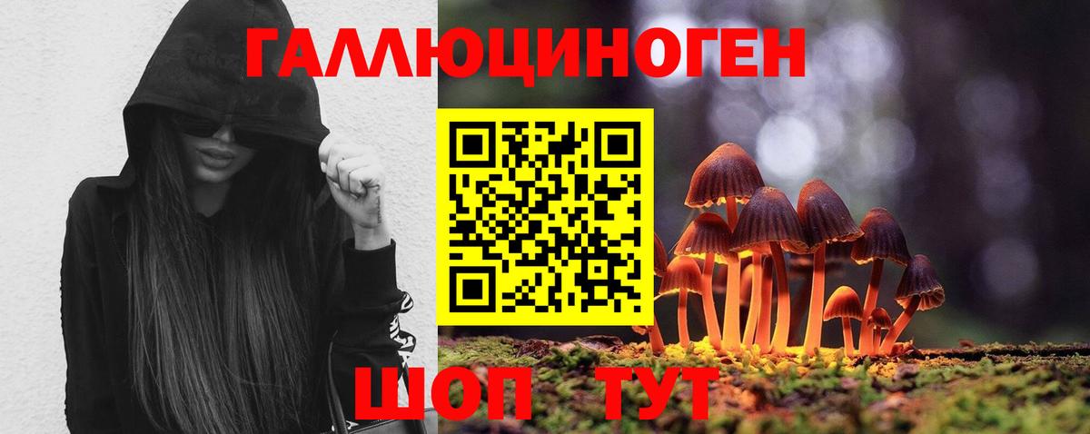 Псилоцибиновые грибы Magic Shrooms Видное